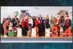 Mikołajkowa Wystawa Luki Wielogóra- Radom 8.12.2024